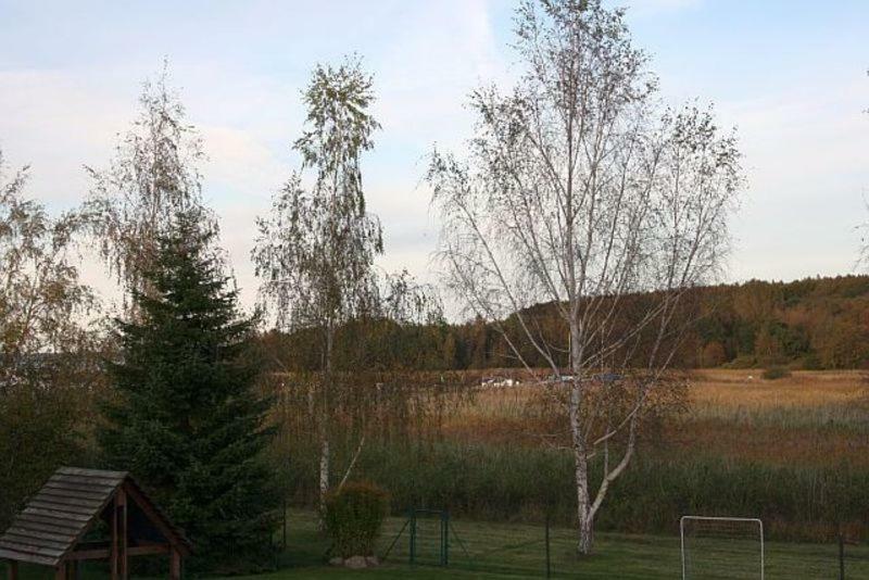 Ferienwohnung Am Bodden ラルスヴィーク エクステリア 写真